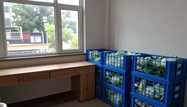 应对市场波动，苗木种植者如何优化农产品收购策略